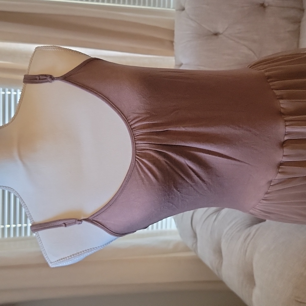 Areve Dress with Net Layers